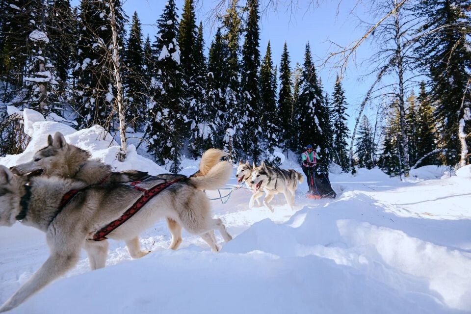    Фото из личного архива Ивана Тимонина