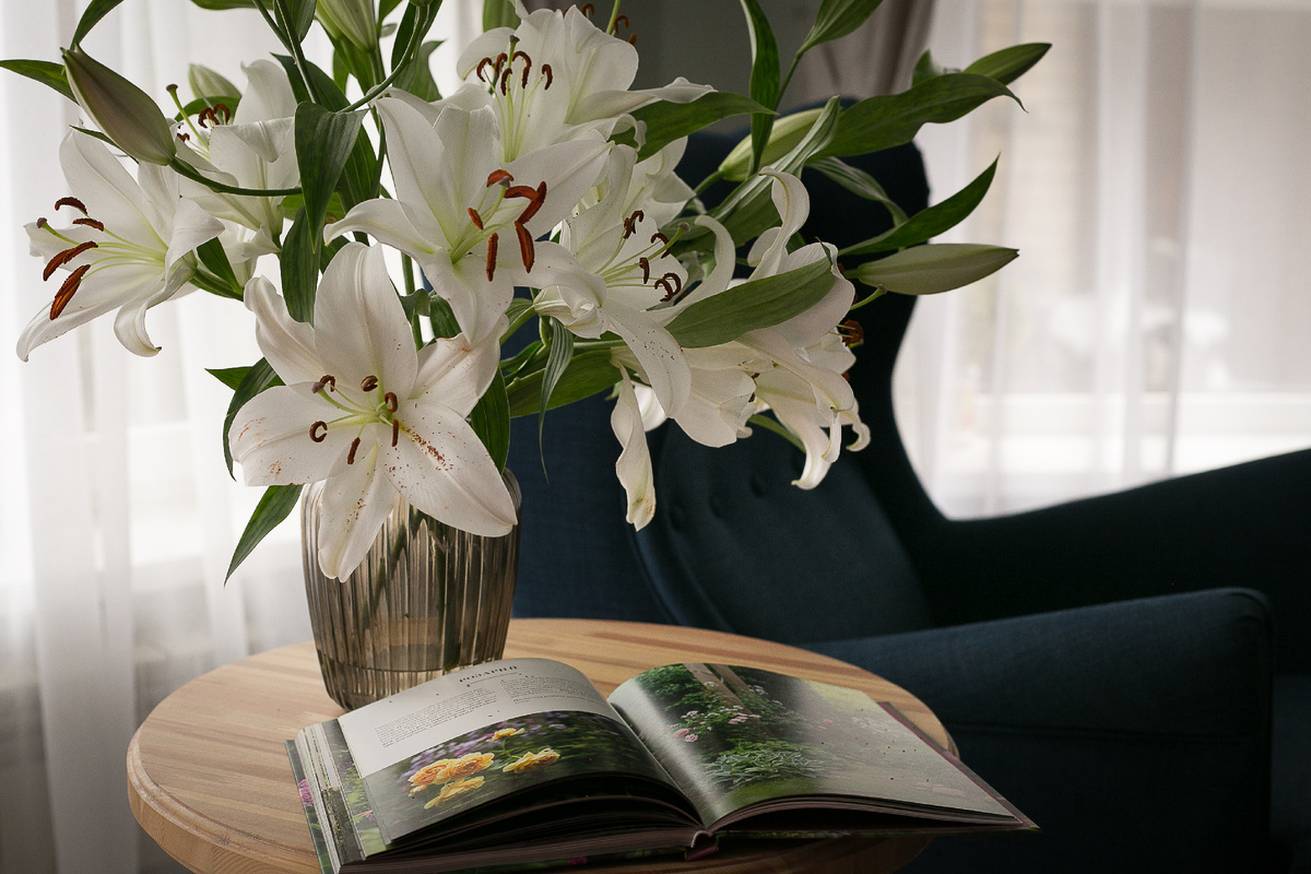 Автор фото Елена Якимова / Greenfingers