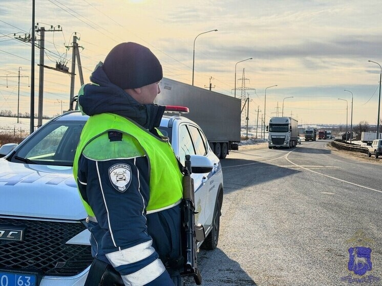     Фото: ГУ МВД России по Самарской области