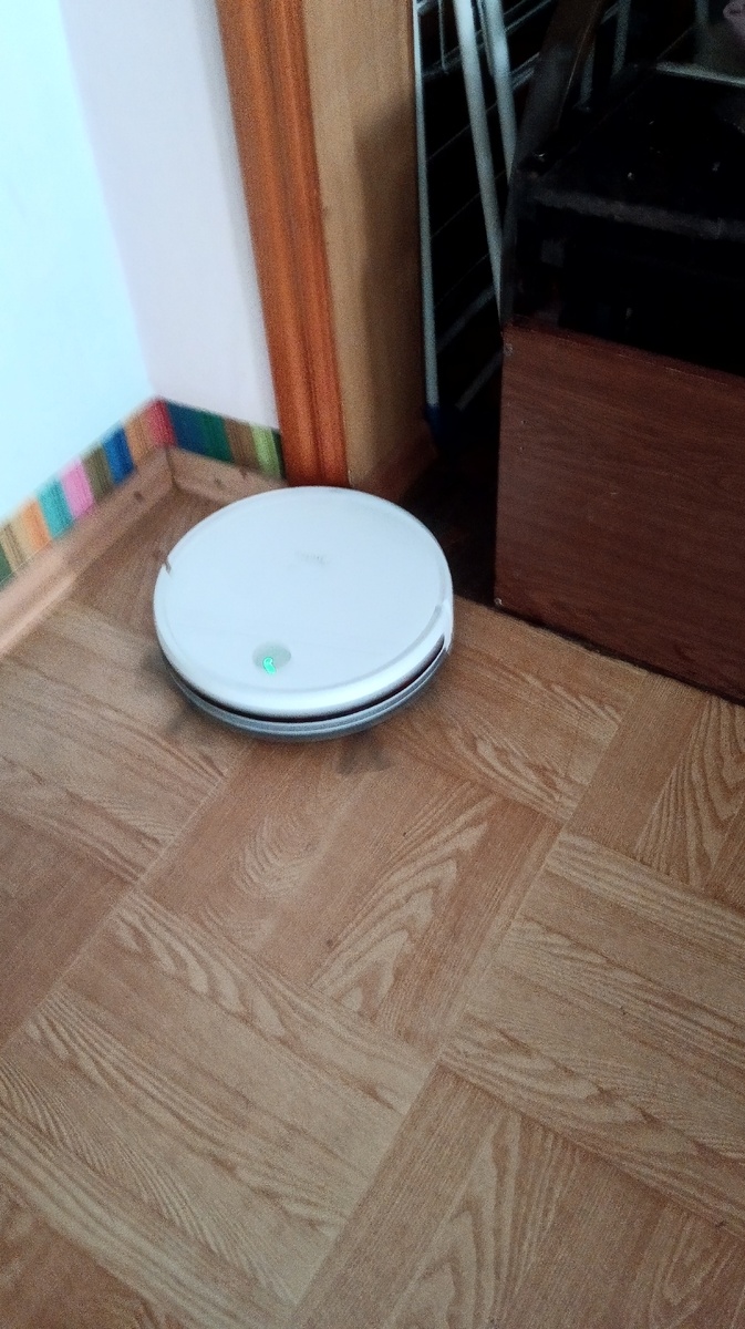 Авторский снимок.