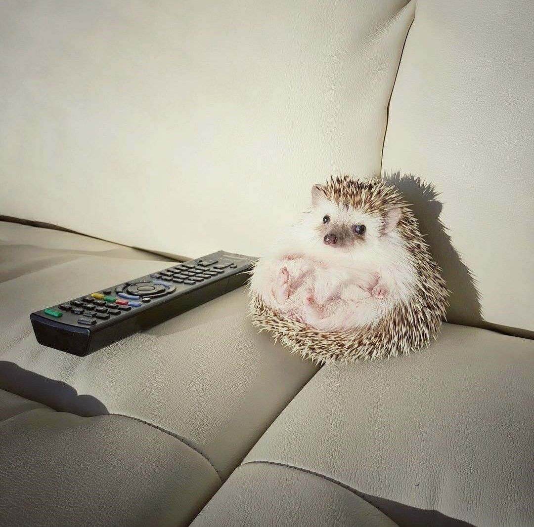 Фото в свободном доступе из интернета.