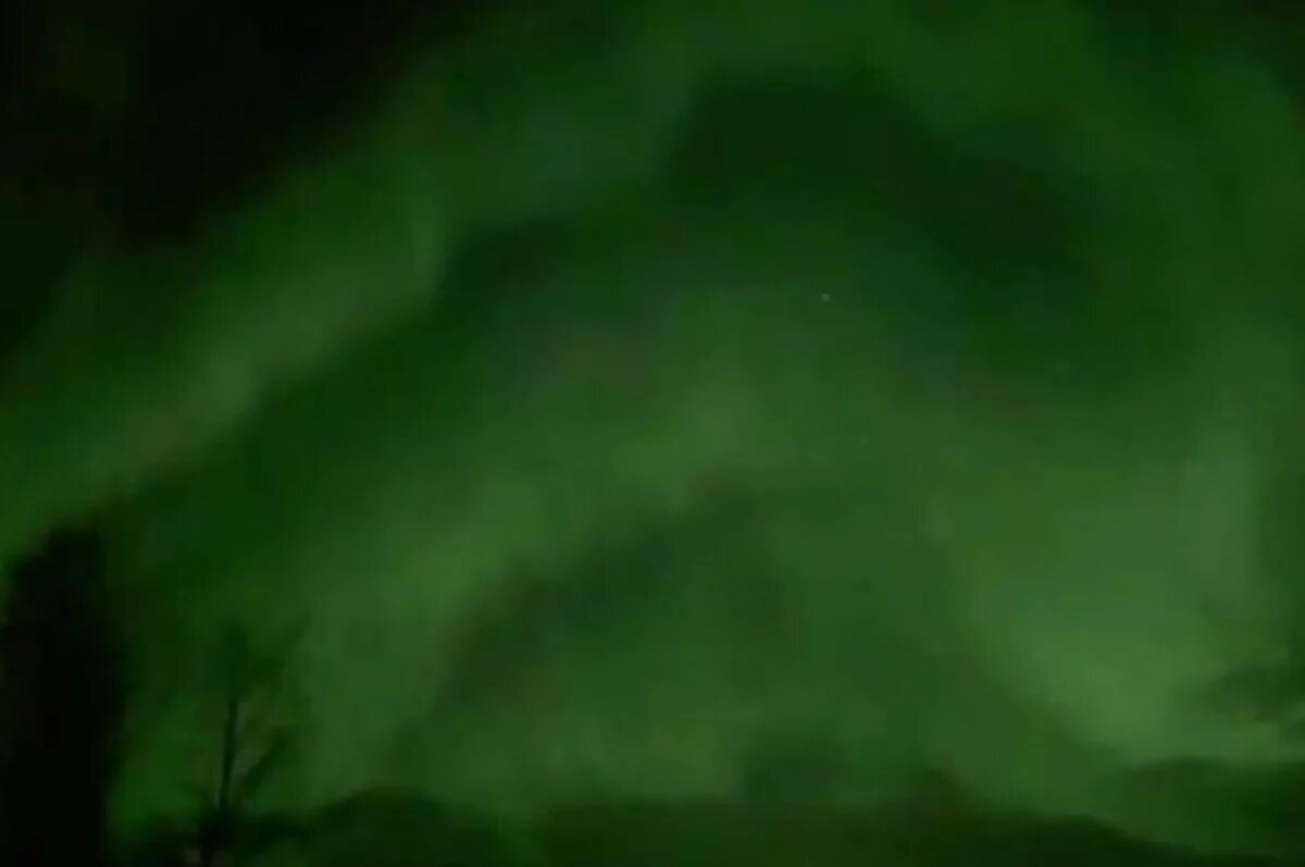    Ученый Бернс заявил, что на Землю обрушилась сумасшедшая буря Аврора