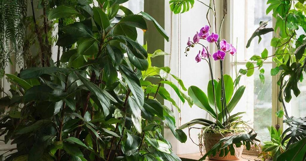 Невысказанные «люблю»