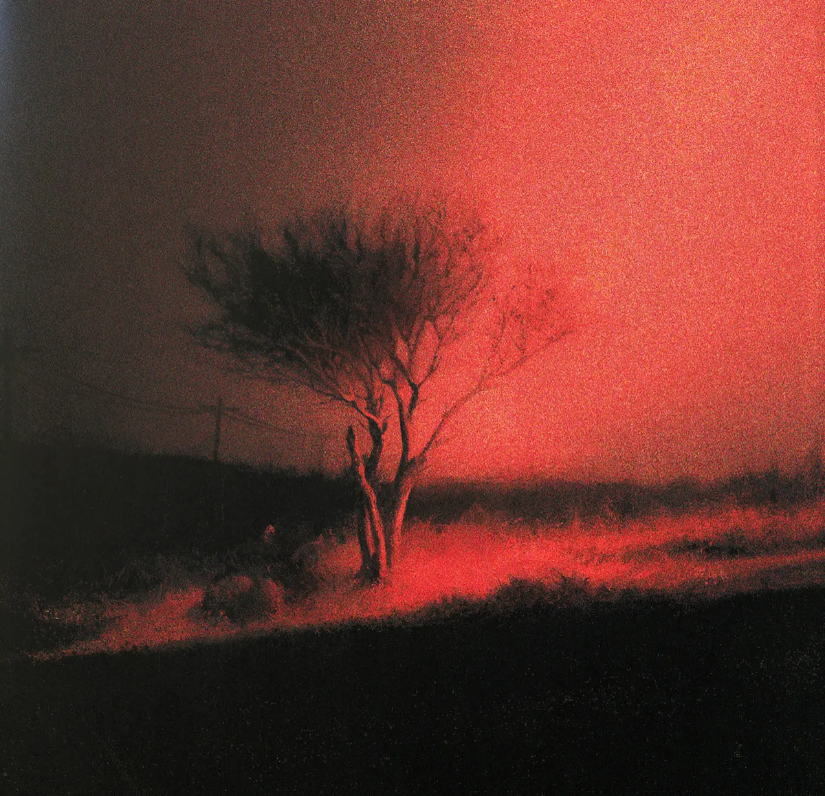 Обложка албома.