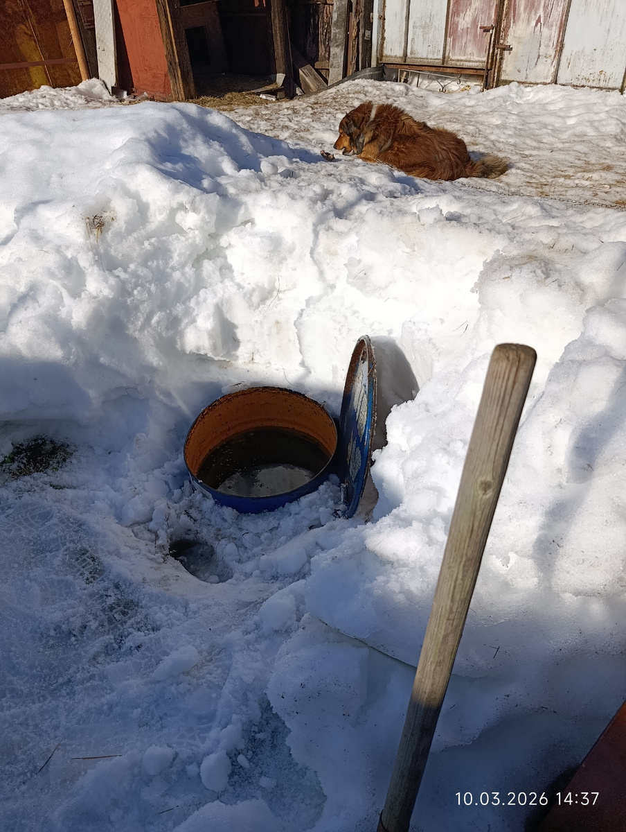 колодец и Рыжик)