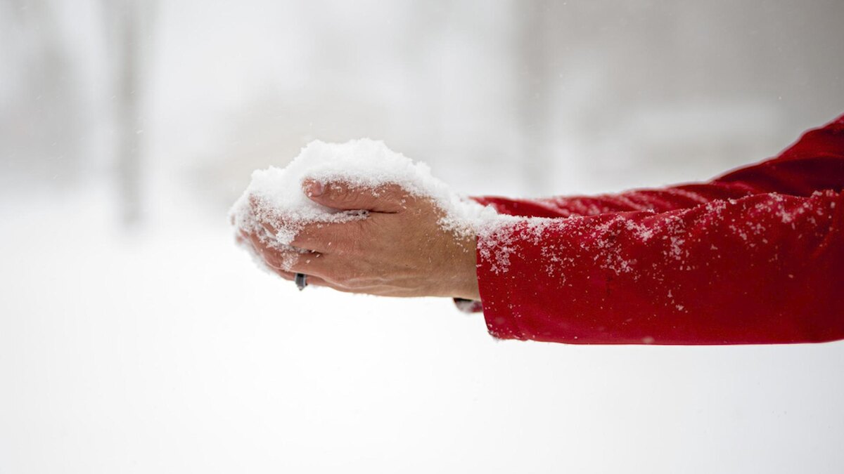    Фото: freepik.com