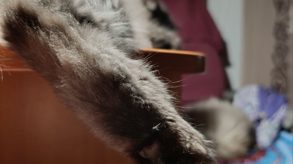 Часть 734. Как прошёл выходной)