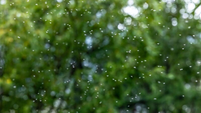    Фото: Фёдор Воронов/«Ямал-Медиа»