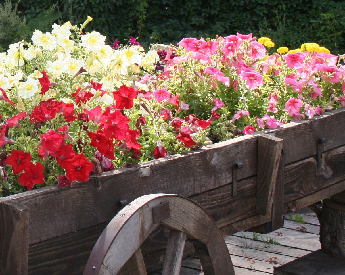 А потому что не надо ныть, ибо нытьё только раздражает подписчиков 