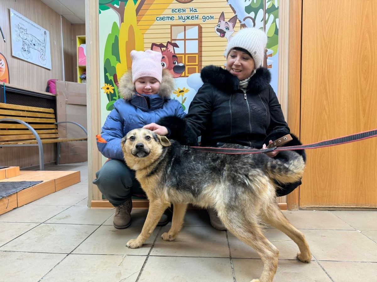 Приютская жизнь осталась позади...