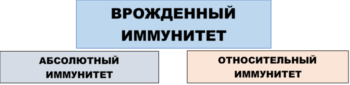 Врожденный иммунитет:абсолютный и относительный 