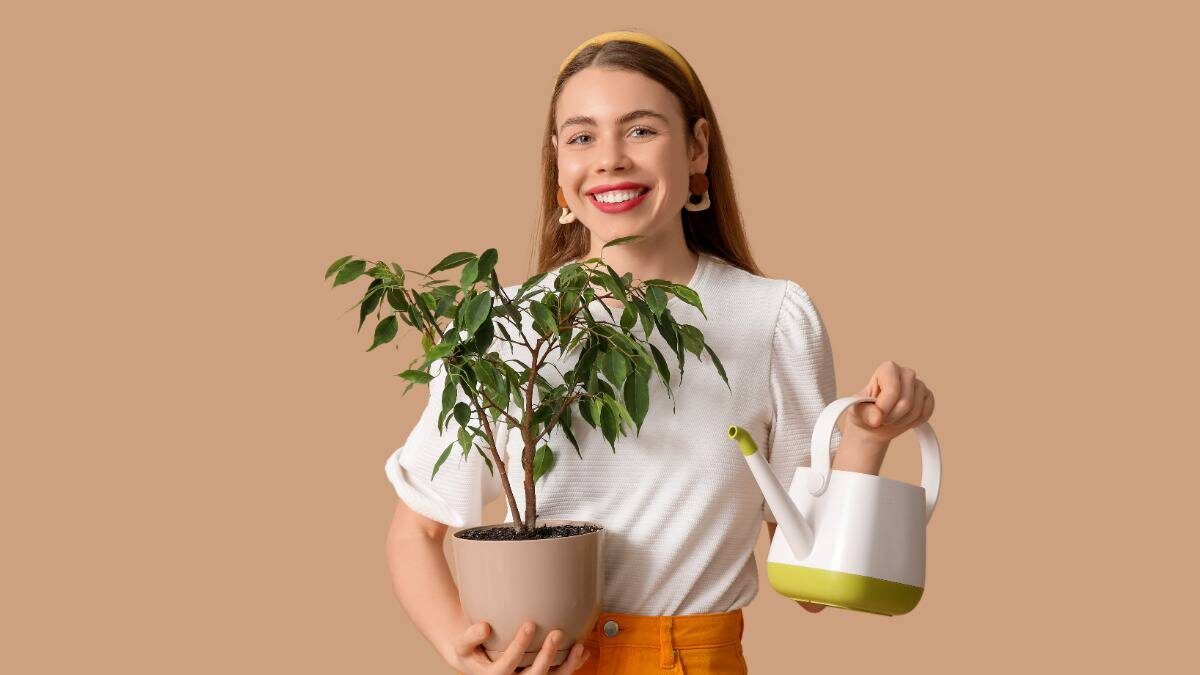    Фото: Shutterstock