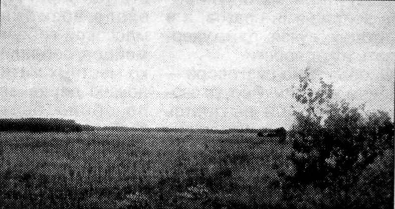 2004 год, урочище Вересы, бывший партизанский аэродром