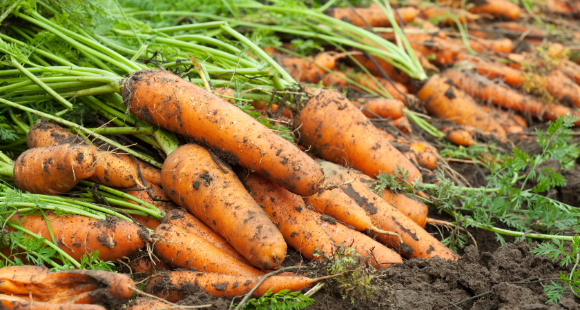    Изображение от bearfotos на Freepik