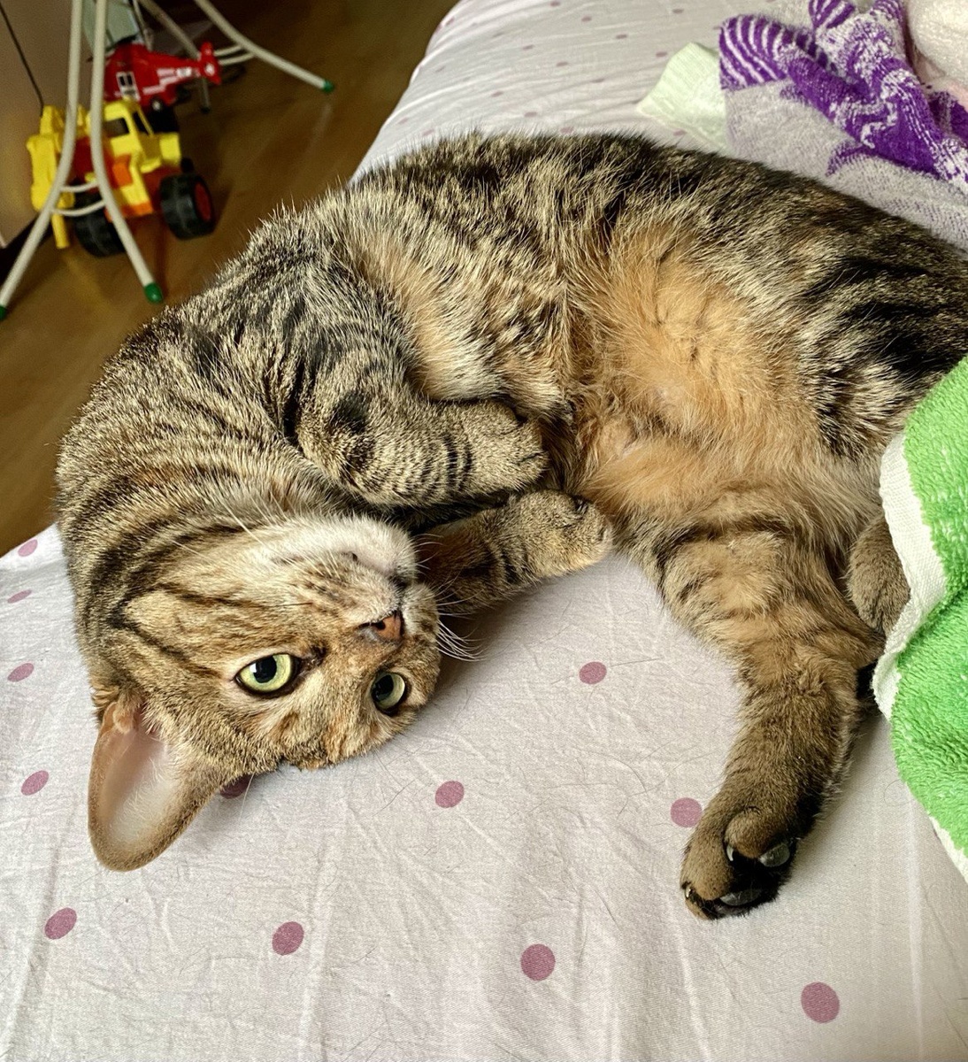 Марьяша дома у Оли