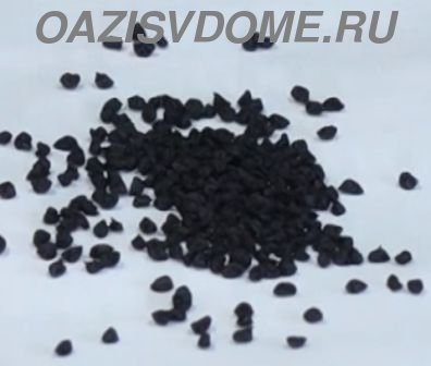 Семена лука порея