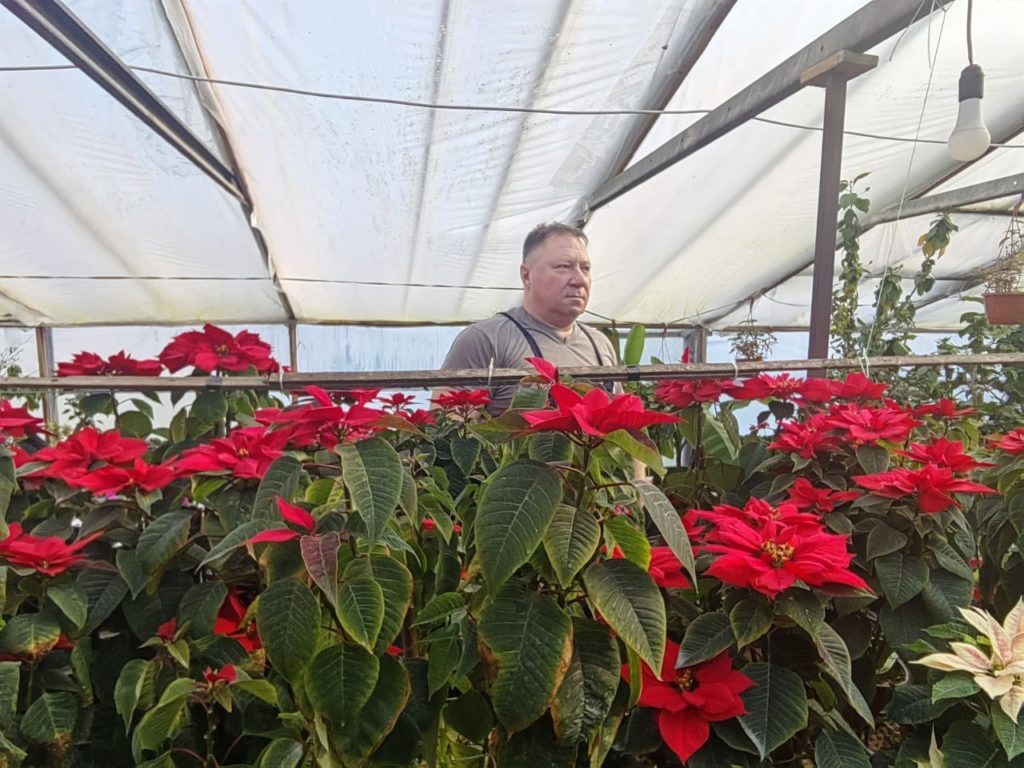    Фото: пресс-служба администрации Краснодарского края