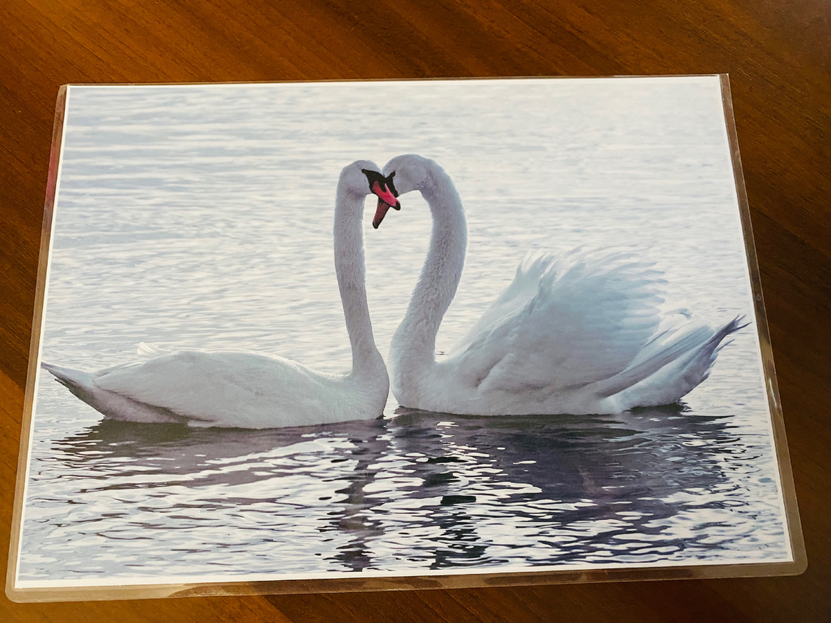 Вот такой волшебный миг  тогда поймал наш фотоаппарат.