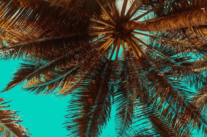 Куда поехать в июле 2026