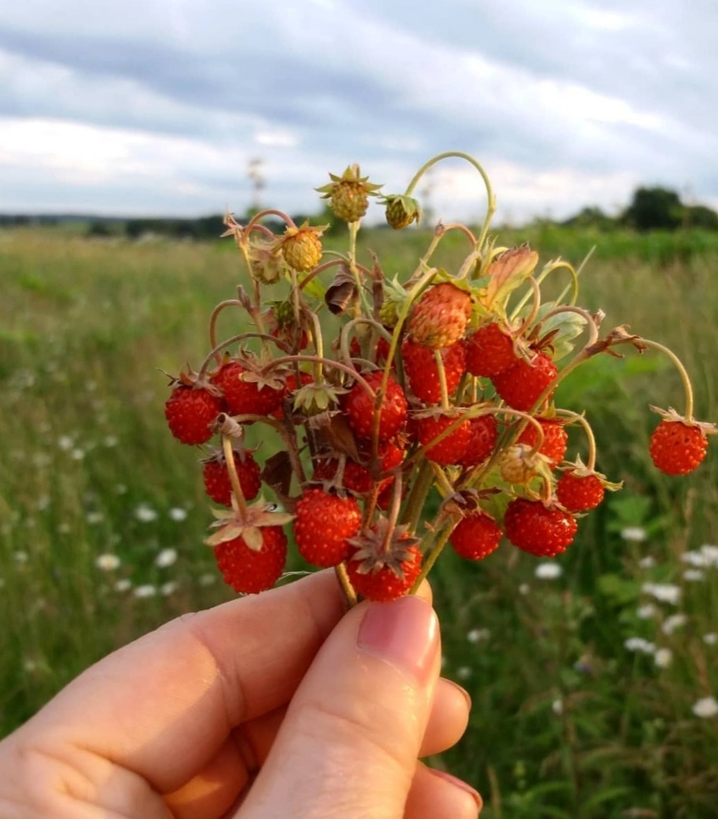Фото автора.