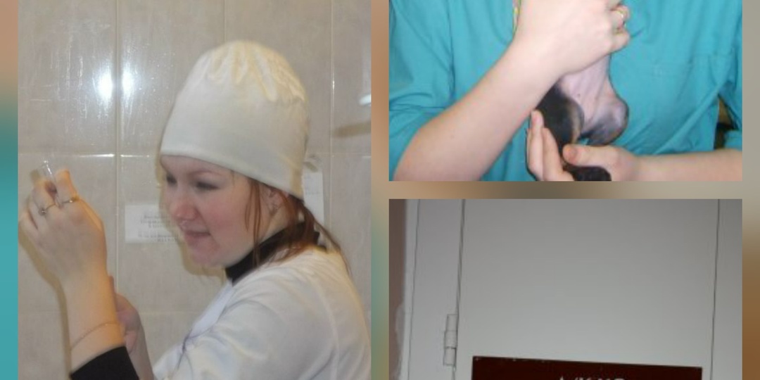 "Где тут руки помыть?": годы в медицине научили меня главному — а теперь учу вас