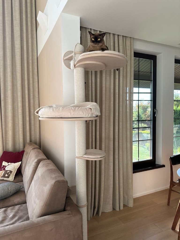 Дизайн интерьера для дома с кошками