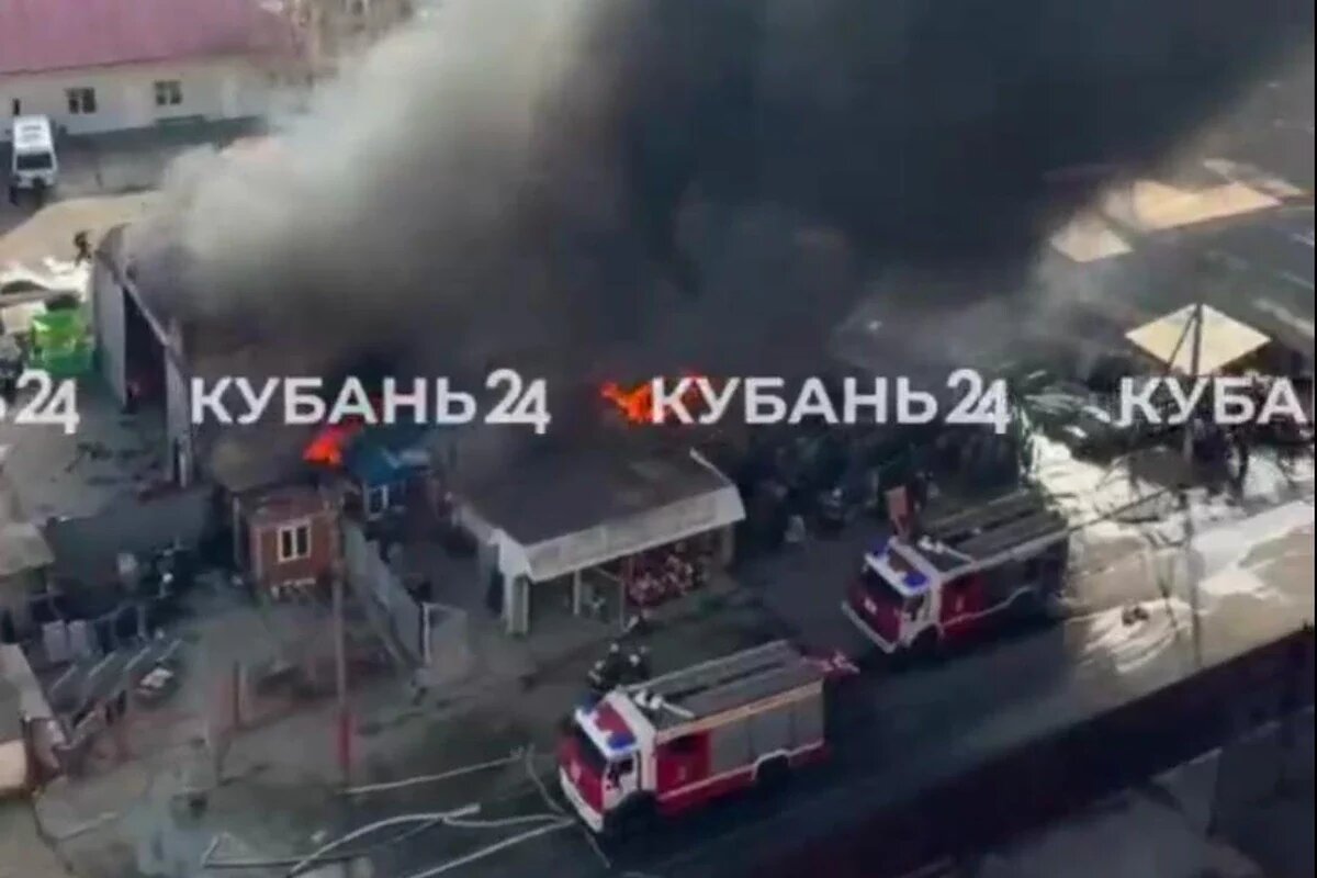    Скриншот видео t.me/zapolyarnaya_krd