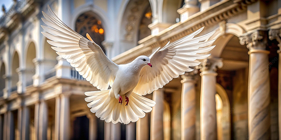 Интересные факты о голубях