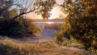    фото: Лера Тарханова Людмила Лата