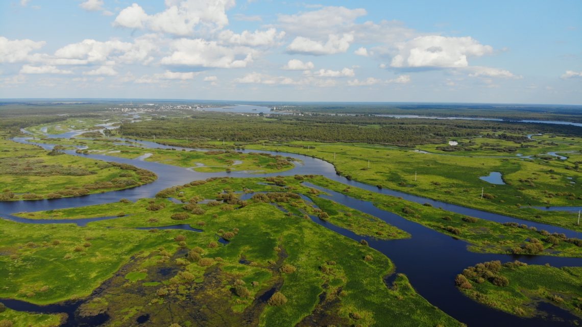 Дельта реки Кубены. Фото из открытых источников