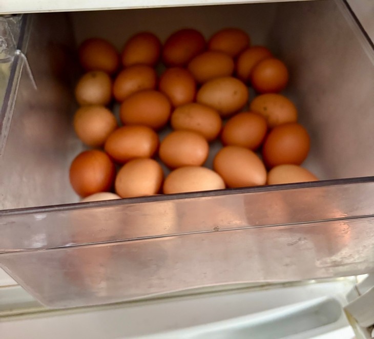    яйца Редакция Газеты