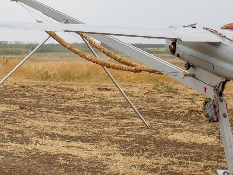     © Фото: ИД «Волгоградская правда» / архив