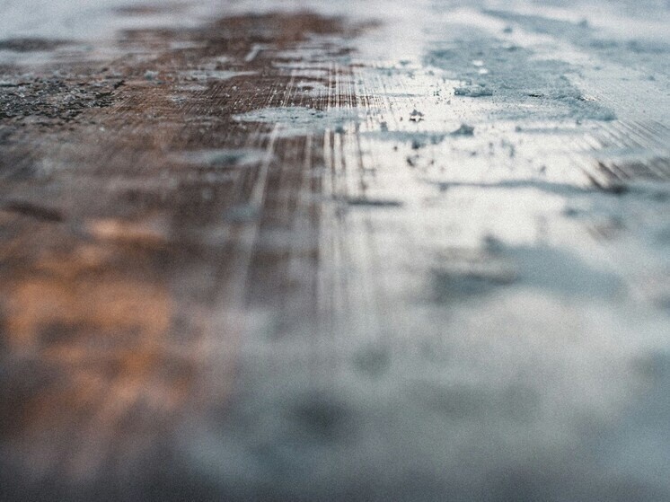     Фото: max fuchs / Unsplash