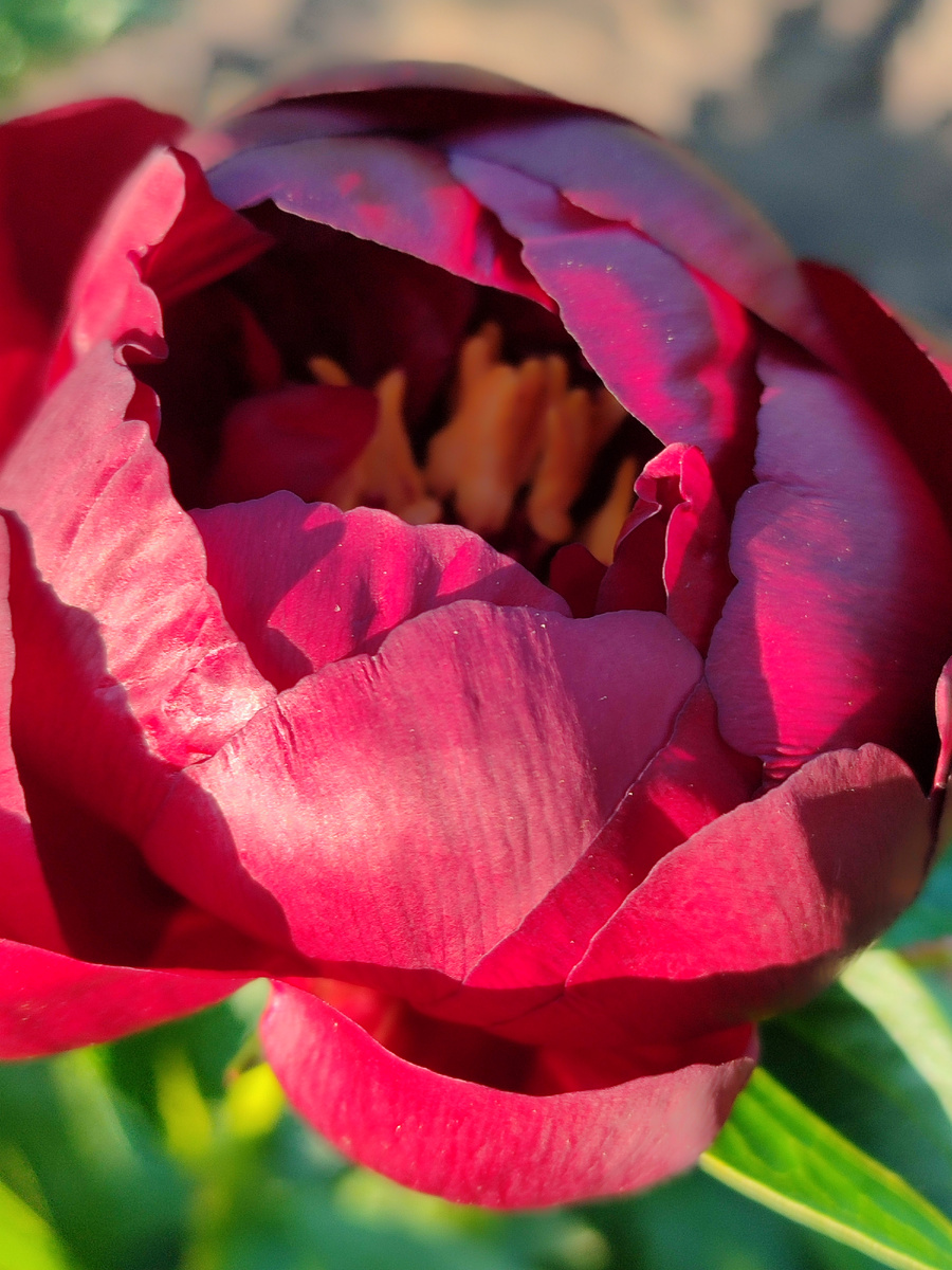 На самом деле он намного темнее