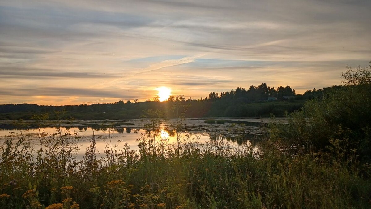 Пруд в 10 минутах от нашего дома