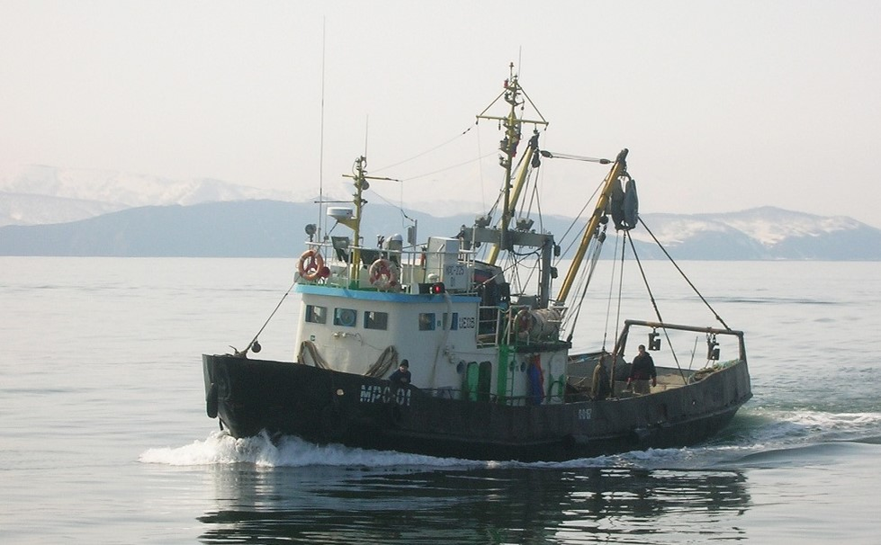 Маломерный рыболовный сейнер-траулер рефрижераторный. Серия малых рыболовных судов типа СЧС - средний черноморский сейнер, предназначались для работы в бассейнах Чёрного и Азовского морей. В период с 1983 по 1997 год на Азовской судоверфи было построено более 70 единиц. Основными промысловыми объектами для судов этого типа являются хамса, шпрот, черноморская ставрида, кефаль-пиленгас, тюлька и некоторые другие виды рыб. СЧС-225 способны вести промысел тралом, кошельковым неводом, конусной сетью на электросвет, а также с помощью рыбонасосов.