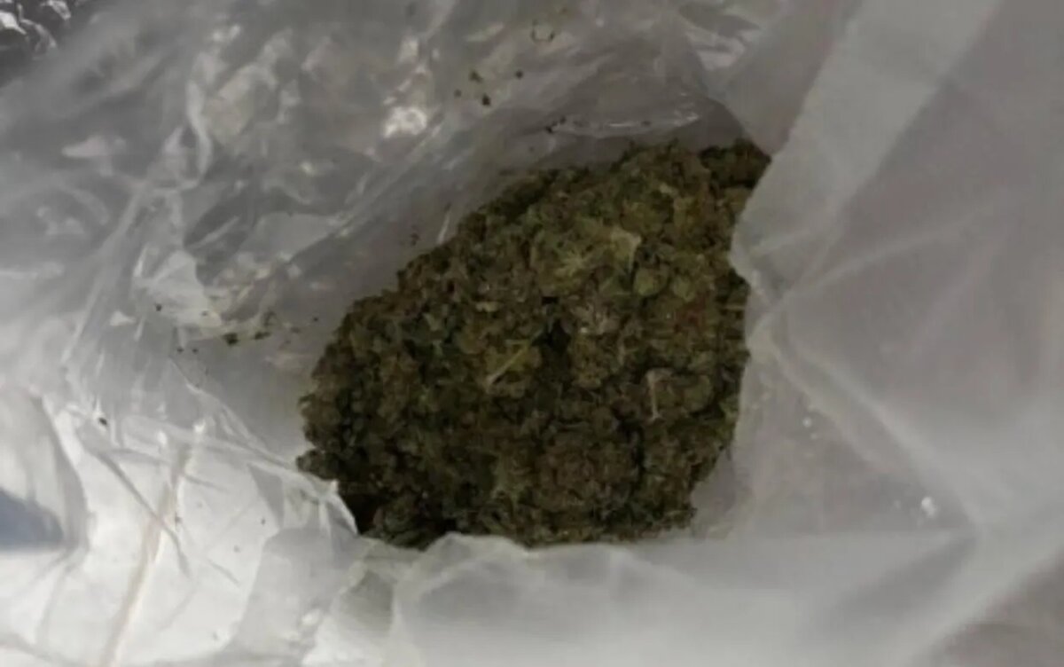    Крупную партию марихуаны изъяли у мужчины на ул. Союзной в Ижевске