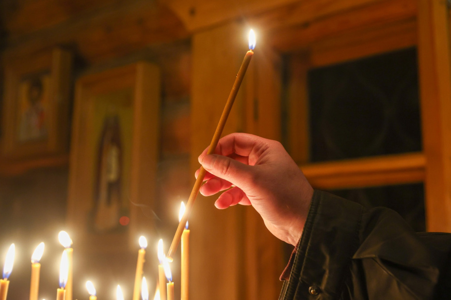    Наталья Шатохина/NEWS.ru