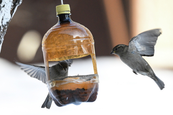 Фото: РИА Новости/Александр Кряжев