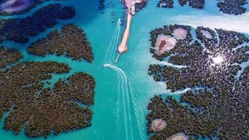 Мангровые леса на острове Кешм