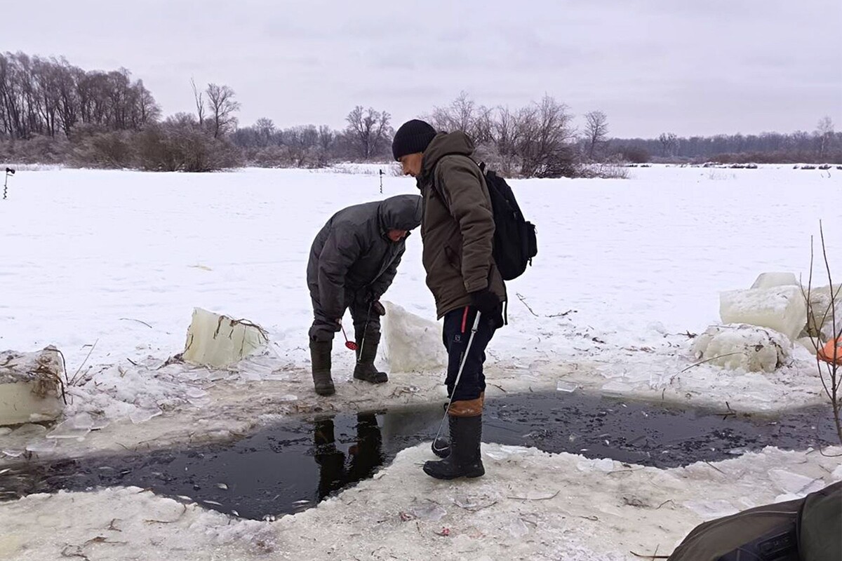  Замор рыбы в устье реки Сведь в Гомельской области. © Сергей Котлобай, fishingby.com