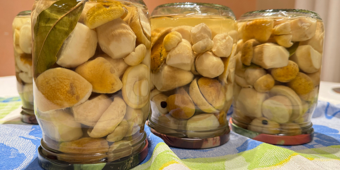 Маринованные белые грибы. Лучший рецепт