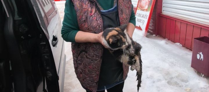 Та самая больная и чумазая кошечка. Фото из архива автора