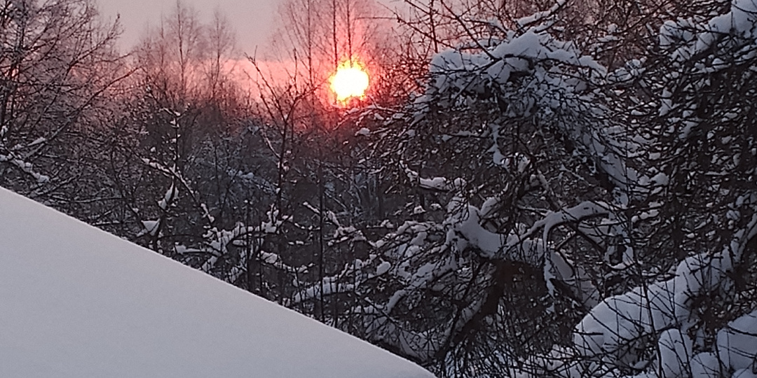Как куры перенесли морозы -30°.