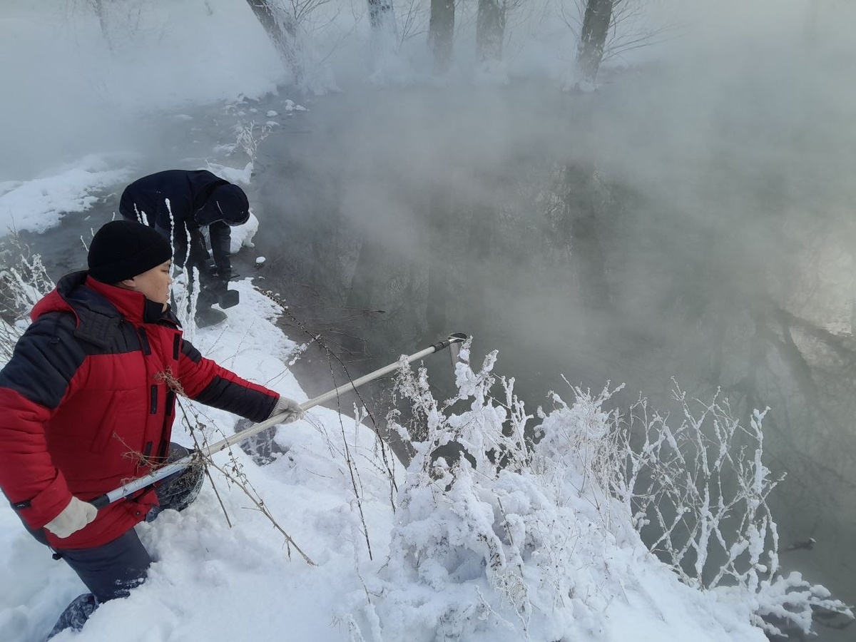    Фото: https://vk.com/prirodaryazangov