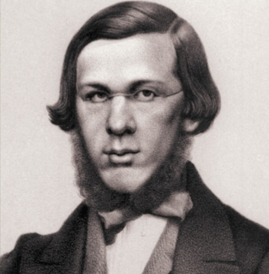 Памяти Николая Добролюбова и два слова о литературной критике