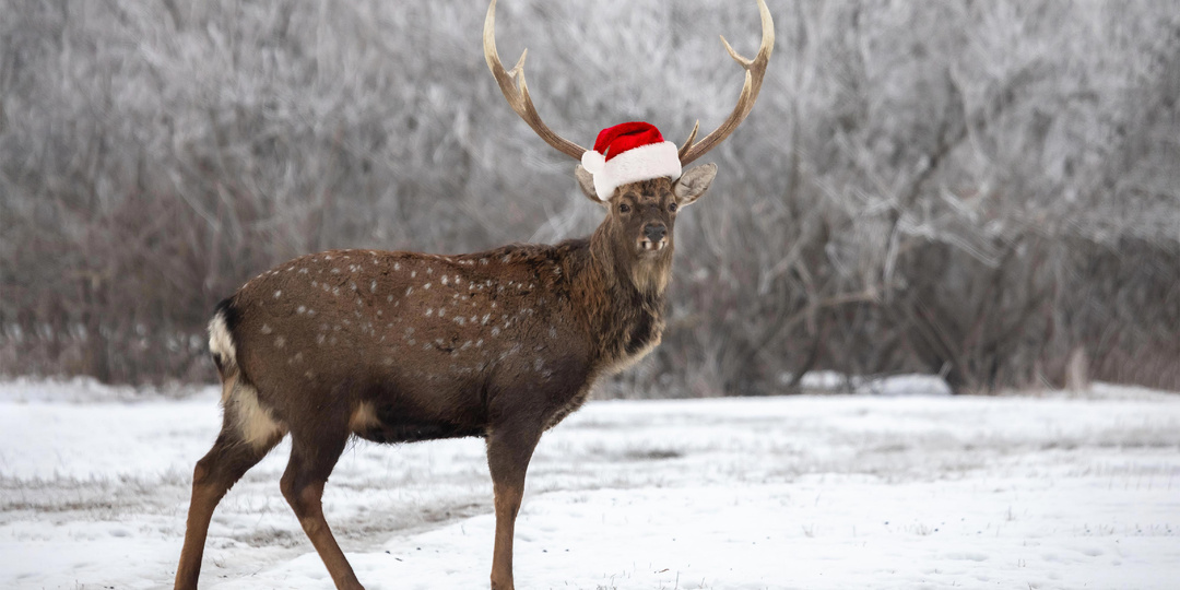 «Биотоп» выпуск №3