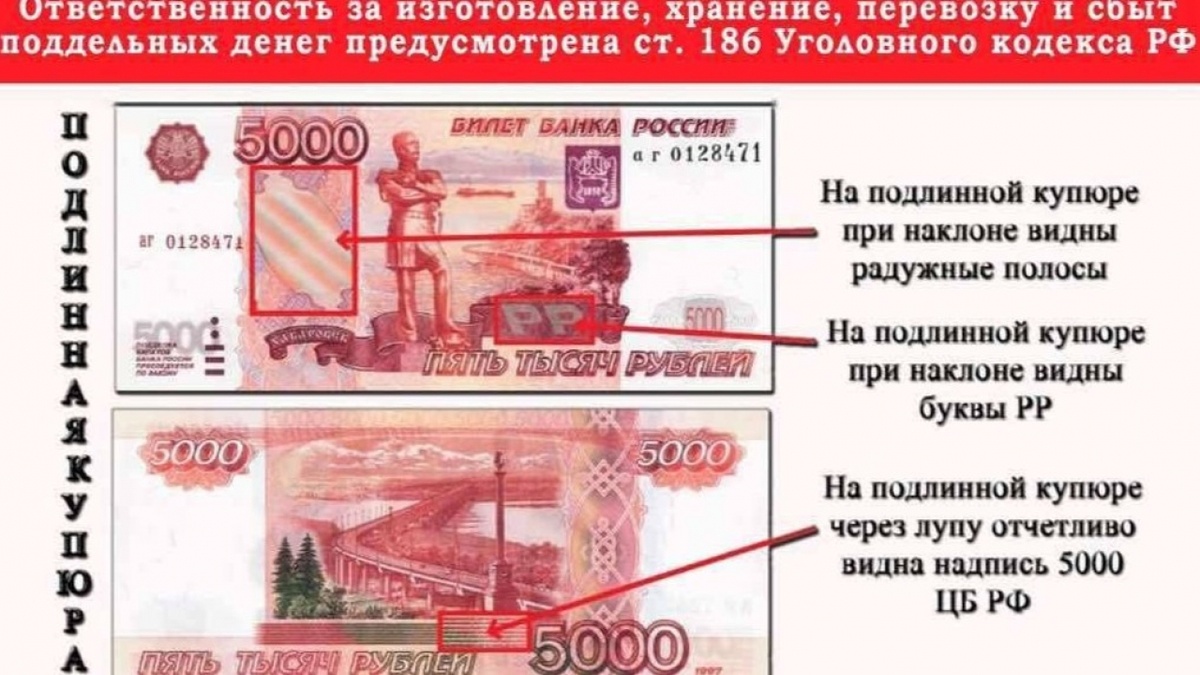    Саратовские полицейские рассказали, как отличить настоящую купюру от фальшивкиНовости Саратова и области – Сетевое издание «Репортер64»