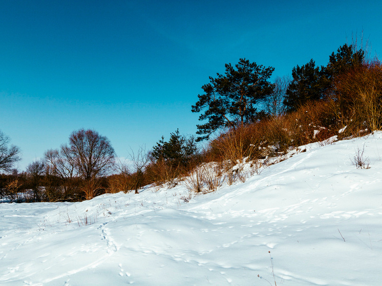     Источник: FreePic