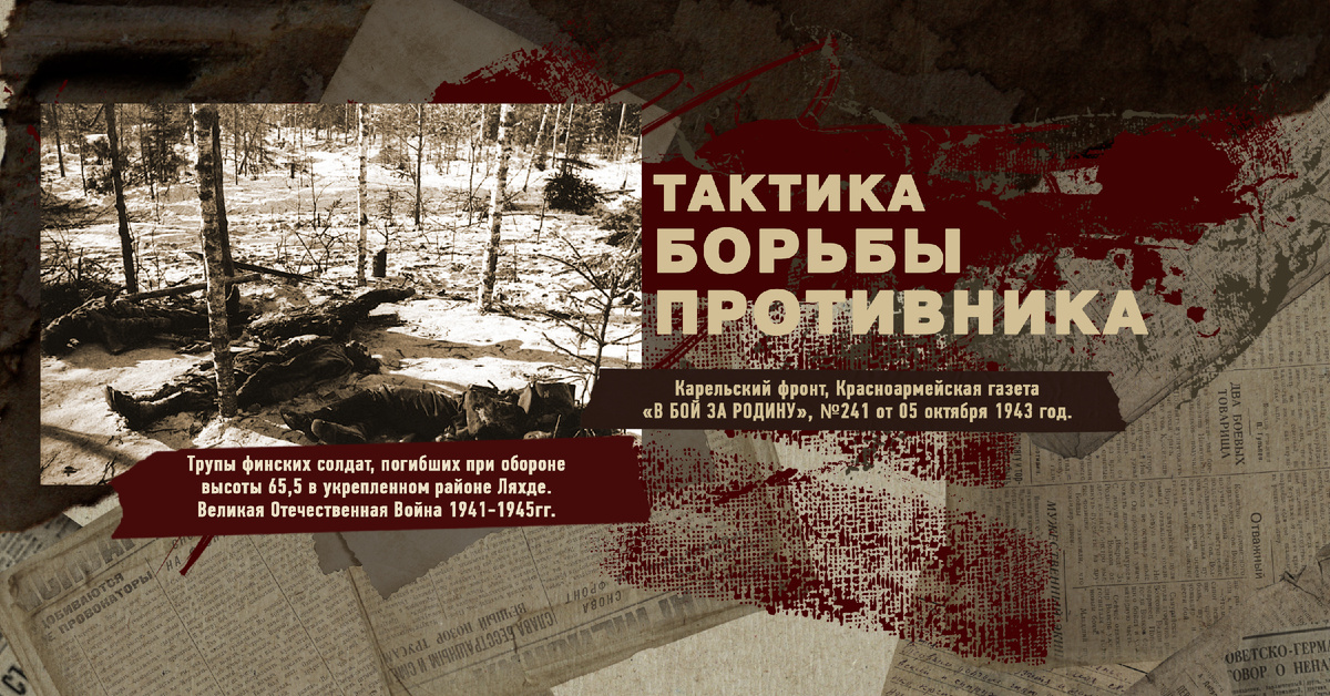 Великая Отечественная Война 1941-1945, Карельский фронт, Строки фронтовые, РУДН ПОИСК